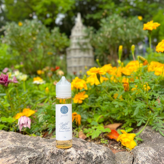 夏季限定フレーバー発売のお知らせ